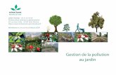 Gestion de la pollution au jardin - Mimétismemimetisme-permaculture.fr/wp-content/uploads/2018/11/... · 2018. 11. 11. · Mimétisme - Conférence gestion de la pollution des sols