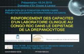 RENFORCEMENT DES CAPACITES - Belgiquealliances-internationales-belgique.be/wp-content/uploads/... · 2018. 7. 5. · présentation 18.04.2018 domaine d’en doyse à lavaur subvention