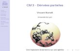 CM 3 - Dérivées partiellesmath.univ-lyon1.fr/homes-www/borrelli/Espace_etudiant/... · 2021. 1. 23. · CM 3 - Dérivées partielles V. Borrelli Limite, continuité Dérivées partielles
