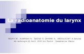 La radioanatomie du larynx - 2019. 1. 14.آ  Le larynx est un organe musculo-cartilagineux expliquant