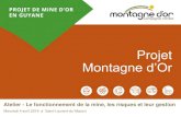 Projet Montagne d’Or · 2019. 2. 11. · PROJET MONTAGNE D’OR 5 Le projet Montagne d’Or, c’est : Développer le potentiel inexploité d’or primaire du gisement Montagne