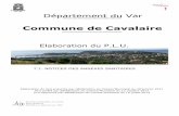 Commune de Cavalaire · 2019. 2. 7. · relèvement des eaux de la Commune. Elles sont composées de quatre pompes de relevage entraînant une capacité de pompage, ... Ces études