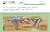 Une brève histoire des puits forés à la main au Niger · 2009. 6. 30. · Une brève histoire des puits forés à la main au Niger 3 _____ 1 Programme des Nations Unies pour le