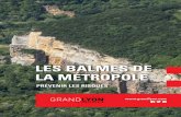 LES BALMES DE LA MÉTROPOLE - Oullins · 2020. 9. 25. · Les balmes font partie intégrante du territoire métropolitain et de sa qualité de vie. Souvent construites, elles se composent