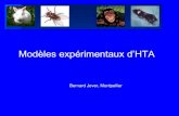 Modèles expérimentaux d’HTAsfhta.eu/wp-content/uploads/2019/01/2.-Jover-modèles-expérimentaux.pdftensionnel de la population vers l’HTA –~ 95% homozygotes –Créer aussi
