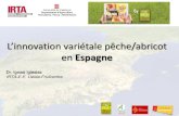L’innovation variétale pêche/abricot en Espagne · 2017. 5. 25. · peche-abricotier Espagne Pêche = 12 programmes Abricot = 4 programmes CITA (Aragón) PROSEPLAN ... 1990-2016