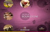 Les vins de BOURGOGNE...Les vins de Bourgogne s’exportent et s’apprécient aux 4 coins du monde › 186,5 millions de bouteilles produites chaque année, 0,6 % de la production