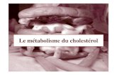 Le métabolisme du cholestérolfacmed-univ-oran.dz/ressources/fichiers_produits/fichier...Origine du cholestérol: 1-Alimentaire « 50% du cholestérol total » 2- Synthèse de NOVO