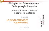 Biologie du Développement Embryologie Humaine · 2019. 2. 6. · Université Paris 7 Diderot Faculté de Médecine DFGSM2 LE DEVELOPPEMENT PULMONAIRE Fabien GUIMIOT Biologie du Développement