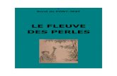 Le fleuve des Perles...Le fleuve des Perles 2 à partir de : LE FLEUVE DES PERLES (L'Araignée-Rouge) par René de PONT-JEST (1830-1904) Émile Dentu, libraire-éditeur, Paris, 1889,