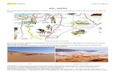 AÏN - SEFRAjeanyvesthorrignac.fr/wa_files/INFO_20789_20AINSEFRA.pdfEntouré par TIOUT, SFISSIFA et MOGHRAR, dominé par le mont MAKTER, AÏN-SEFRA est célèbre par ses dunes d’une