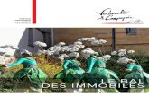 LE BAL DES IMMOBILES - Verbecelte et Compagnie · 2018. 5. 8. · Le Bal des Immobiles est un spectacle déambulatoire visuel et chorégraphique sur une musique de Nestor Kéa. Artiste