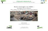 Bois énergie en RDC - Ciradprojets.cirad.fr/content/download/11048/66023/file/Bois...Bois énergie en RDC : Analyse de la filière des villes de Kinshasa et de Kisangani Jolien Schure