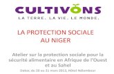 LA PROTECTION SOCIALE AU NIGER · 2020. 9. 23. · Vision Nationale de la Protection Sociale « Le Niger se fixe comme vision, d’être une Nation qui veille à la satisfaction des