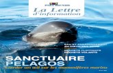 ISSN 1635-3064 · 2019. 5. 20. · 2002-2005 Programme I-Marq ... 2007-2011 WWF-France - Étude des cétacés de Méditerranée. Impact des pollutions sur la vie marine. 2008-2012