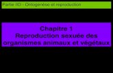 Chapitre 1 Reproduction sexuée des organismes animaux et …ekladata.com/K9VyBQXVWolKUP5iyQRx6fqxnvM/iapo-reproduct... · 2015. 10. 15. · Reproduction sexuée des organismes animaux