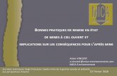 BONNES PRATIQUES DE REMISE EN ÉTAT DE MINES À CIEL …sbgimr-bvigrm.be/.../2018/05/13_Vincent_MICA_Ciel-ouvert.pdf · 2018. 5. 19. · BONNES PRATIQUES DE REMISE EN ÉTAT DE MINES