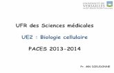 UFR des Sciences médicales UE2 : Biologie cellulaire PACES ...paris-ouest.net/posien/documents/drive/28876_3._Le_noyau.pdf · PACES 2013-2014 Pr. MN DIEUDONNE. BIOLOGIE CELLULAIRE