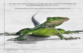 Étude des populations d’iguane des petites Antilles de la Désirade … · 2020. 11. 3. · 3 Introduction L’iguane des petites Antilles : Iguana delicatissima Laurenti, 1768,