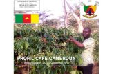 PROFIL CAFE CAMEROUN...I. Situation de référence et historique du café au Cameroun II. Chaine de commercialisation et l’incidence du café sur l’économie camerounaise Le taux