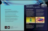 Exploration pétrolière et gazièreawsassets.panda.org/downloads/wwf__fiches_frbd.pdf · 2012. 1. 3. · pétrolière et gazière Navire tractant des canons à air Images en 3D du