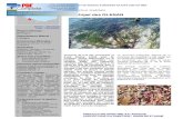 Archipel des GLENAN - Ministère de la Transition écologique · 2012. 8. 2. · Archipel des GLENAN Un document d ˇObjectifs, élaboré par la commune de Fouesnant a été validé