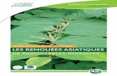 Guide scientifique et technique LES RENOUÉES ASIATIQUES€¦ · 3 Le Conseil général de la Loire conduit depuis de nombreuses années une politique active de lutte contre les plantes