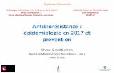 Antibiorésistance : épidémiologie en 2017 et prévention...–Plan 2005-2008 •… tableau de bod du isue infectieux ... moléculaire Lien avec le NR … B. Grandbastien - 27 ...
