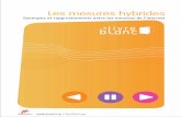 Les mesures hybrides · 2018. 12. 7. · Francophone sur les Sondages (Tanger, 2010), Richard Laroche, de Statistique Canada, expose une démarche analogue combinant des informations