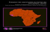 Évaluation des opportunités du marché des mini-réseaux : Guinée · 2020. 7. 21. · OMVS Organisation pour la Mise en Valeur du Fleuve Sénégal PASE Projet d’Amélioration