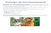 Principe de fonctionnementcps-service.fr/Install_adou.pdf · 2010. 1. 26. · Attention : Il est obligatoire de raccorder le trop-plein du bac à sel au siphon fourni (vidange par