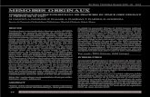 MEMOIRES ORIGINAUX - SMACOT · 2021. 2. 18. · MEMOIRES ORIGINAUX. 11 REVUE MAROCAINE DE CHIRURGIE ORTHOPEDIQUE ET TRAUMATOLOGIQUE N° 36 - JUILLET 2008 Rev Maroc Chir Orthop Traumato