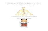 CHAKRAS, CORPS SUBTILS et PRANA - Psycha Analyse · 2012. 12. 18. · subtils ou nadis, dans les cinq fourreaux constituant le corps humain total, et le travail sur les chakras a