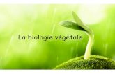 La biologie végétale biologie... · 2016. 12. 21. · La biologie végétale. clg.lorris.svt.free.fr •Végétaux : Tous les organismes, chlorophylliens ... - Utilisation des algues.