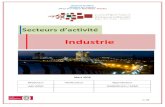Industrie - CRI : ITC 0,00 0,00 5,00 0,50 3,98 Total 22 133,85 2 548,95 2 207,00 1 272,50 130,95 865,48 Sour e, entre Régional d’Investissement éni Mellal – Khénifra (Millions