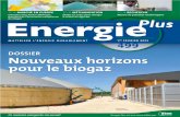 DOSSIER Nouveaux horizons pour le biogaz · 2018. 7. 14. · Nouveaux horizons pour le biogaz. ... DU MARDI 19 AU VENDREDI 22 FÉVRIER 2013 Ici se développent vos projets Biogaz