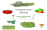 Les plants maraichers 2016 - INFOPTIMUM Bourges · 2016. 4. 17. · Dona F1 Fruit uniforme sans collet vert, belle présentation Fandango F1 Variété précoce, résistante au mildiou