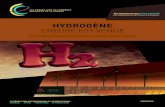 HYDROGÈNE - Afhypac rap.hydrogene-final-bd... · 2020. 2. 24. · de nouveaux usages de l’hydrogène en ville notamment pour améliorer la qualité de l’air. La Corée du Sud