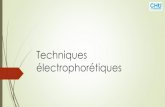 Techniques électrophorétiques - ... Différences gel/capillaire Les 2 techniques sont très bien corrélées Plus grande sensibilité de l’électrophorèse capillaire Fréquence