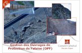 Gestion des Ouvrages de Protection de Falaise (OPF) · 2013. 11. 26. · – 1960 Km de routes départementales, dont la moiti ... Contrefort 2.4. Mur 9.3. Pilier 2.5. Blocs béton