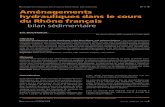 Aménagements hydrauliques dans le cours du Rhône français … 2004... · 2017. 6. 9. · l’heure où s’engage une réflexion sur le devenir des chasses franco-suisse. Eric