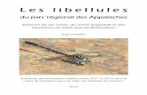 L e s l i b e l l u l e s - Entomofauneentomofaune.qc.ca/entomofaune/odonates/atlas/Lemelin...20 juin 2014 sur le rivage de la rivière Noire Nord-Ouest (en aval de la cascade Noire)