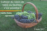 Cultiver du raisin de table au Québec, c’est possible? · Cultiver du raisin de table au Québec, c'est possible? Gaëlle Dubé, agronome 9 mars 2017 . Au menu •Situation actuelle
