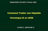 Comment Traiter une Hépatite Chronique B en 2009Comment Traiter une Hépatite Chronique B en 2009 CHABI S., BERKANE S. SEMINAIRE ATELIER 4 Février 2009 . Hépatite Chronique Virale