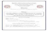 Mémoire - University of Souk Ahrasuniv-soukahras.dz/eprints/2013-966-9e713.pdf · 2014. 12. 14. · Mémoire Présenté en vue de l’obtention du diplôme de Magister ... de près