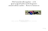Sémiologie et propédeutique médicale bovines · 2020. 4. 5. · Sémiologie et propédeutique médicale bovines Bouzenzna Meriem MAA. Institut des sciences vétérinaires. Université