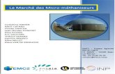 Page | 1ensaia.univ-lorraine.fr/telechargements/projet_pro... · 2018. 6. 6. · bactéries méthanogènes, en inhibant directement ou en précipitant les métaux dont certaines bactéries