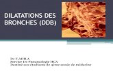 DILATATIONS DES BRONCHES (DDB)univ.ency-education.com/uploads/1/3/1/0/13102001/pneumo4...bactériennes bronchiques: en cas de surinfection bronchique ou suppuration pleuro pulmonaire