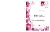DCG 3 -Droit social · – DCG 2 Droit des sociétés et des groupements d’affaires, 9e éd. 2020-2021 (L. Simonet). – DCG 3 Droit social, 2e éd. 2020-2021 (L. Morel-Pouliquen).