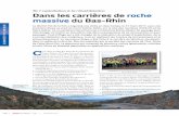 Dans les carrières de roche massive du Bas-Rhin · 2019. 4. 5. · De l’exploitation à la réhabilitation Dans les carrières de roche massive du Bas-Rhin Le district Est de la